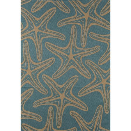 Standalone 3 x 4 ft. Plymouth Collection Starfish Flat Woven Indoor & Outdoor Area Rug, Blue ST2590118